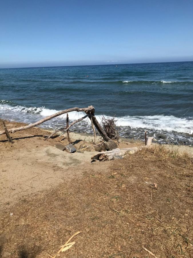 Lucia, Avec Piscine , Vue Et Pied Dans L'eau , Moriani-plage *